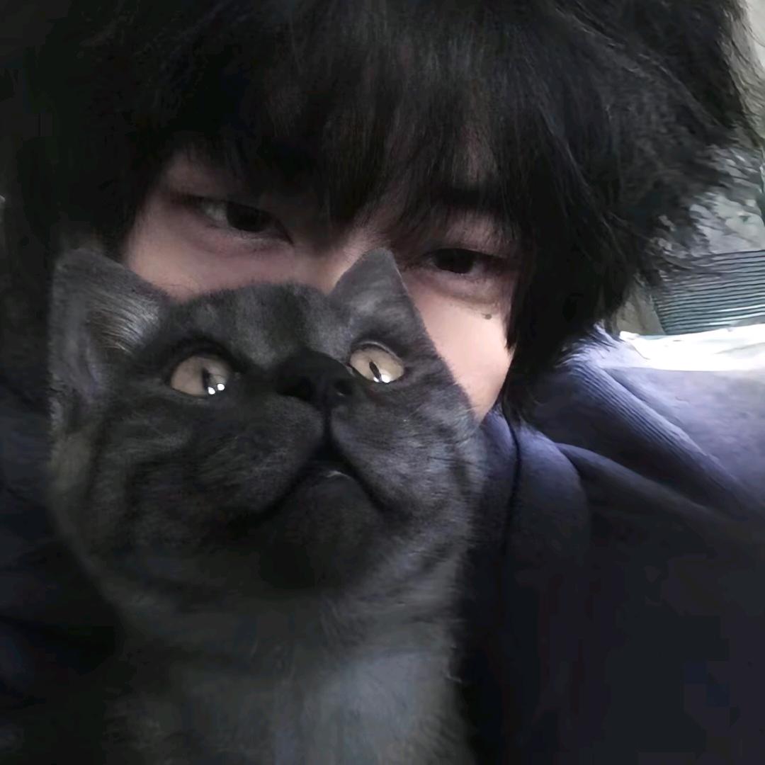 凉辰梦瑾空人心