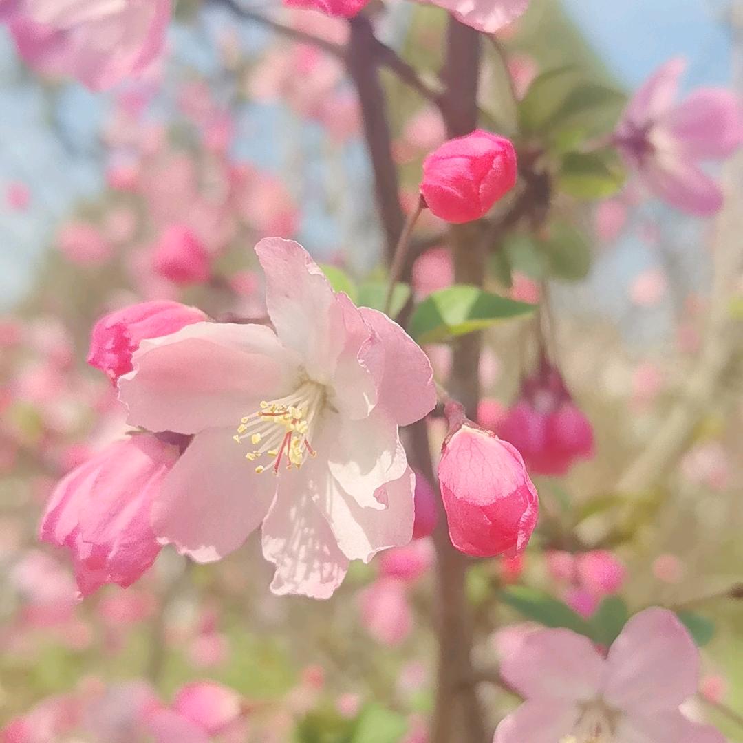 遇见🌞