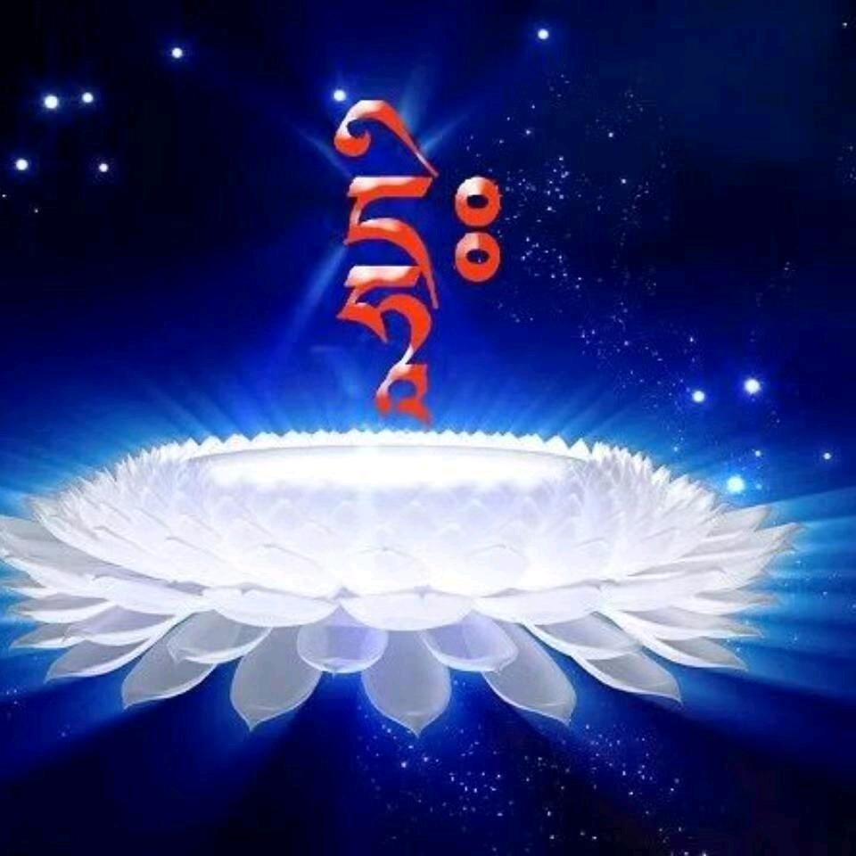 权芳立