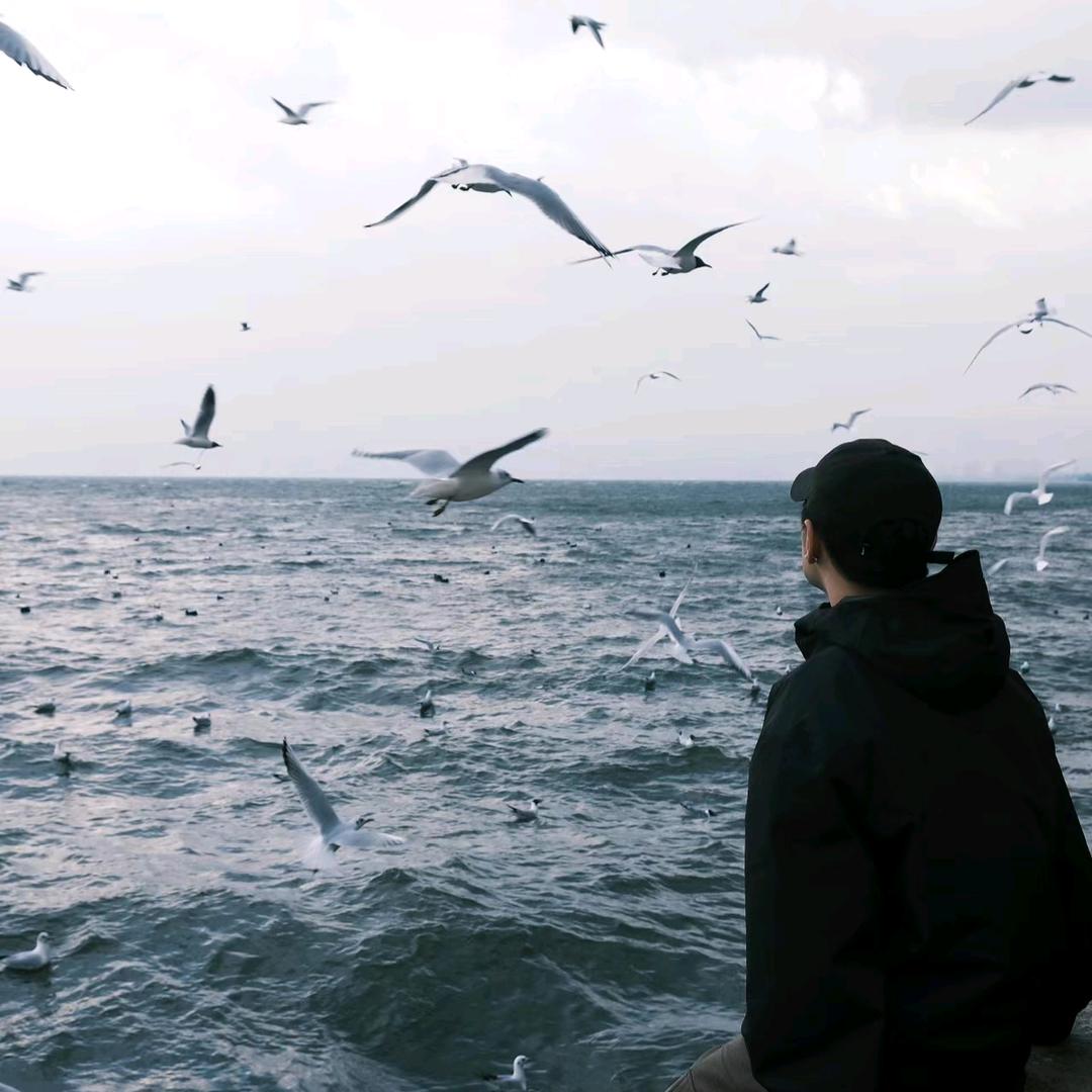 踏浪