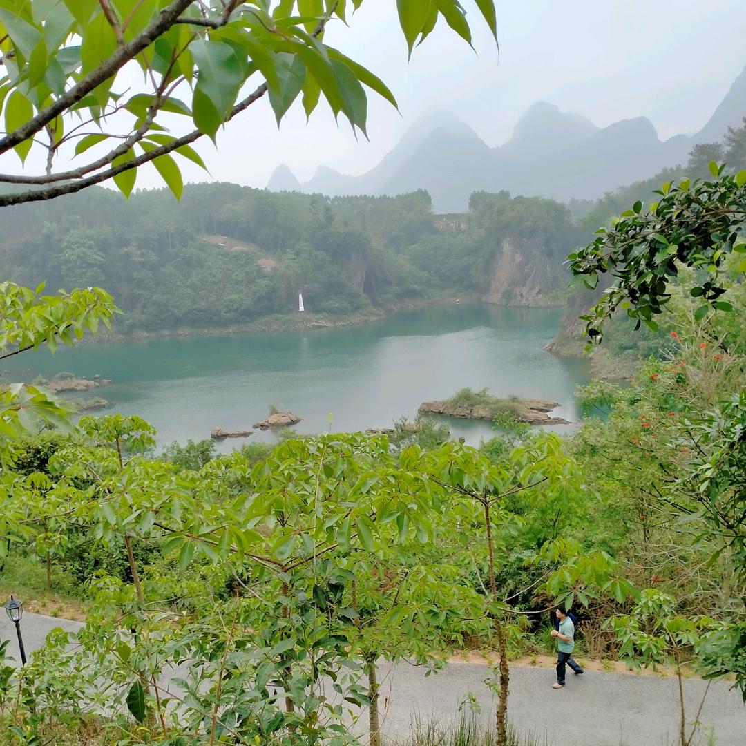 韦《家》