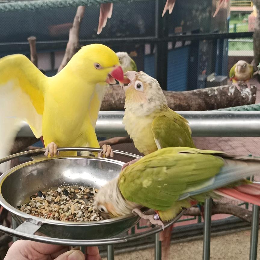 এএ᭄ꦿꫛ小♥武꧔ꦿএ᭄💕