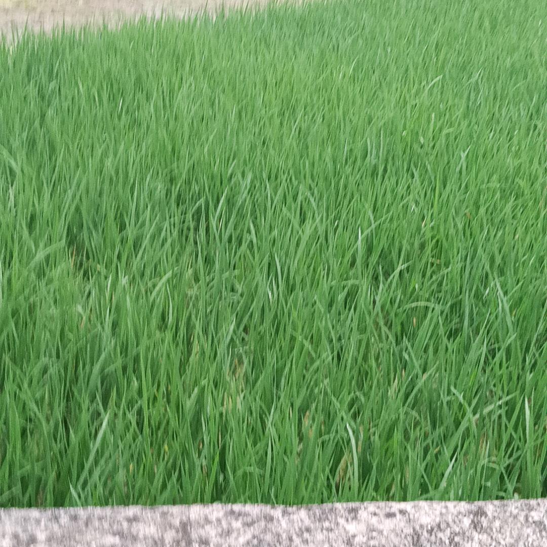 用户2210529793410一