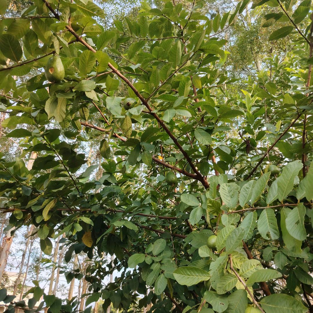 修身养性