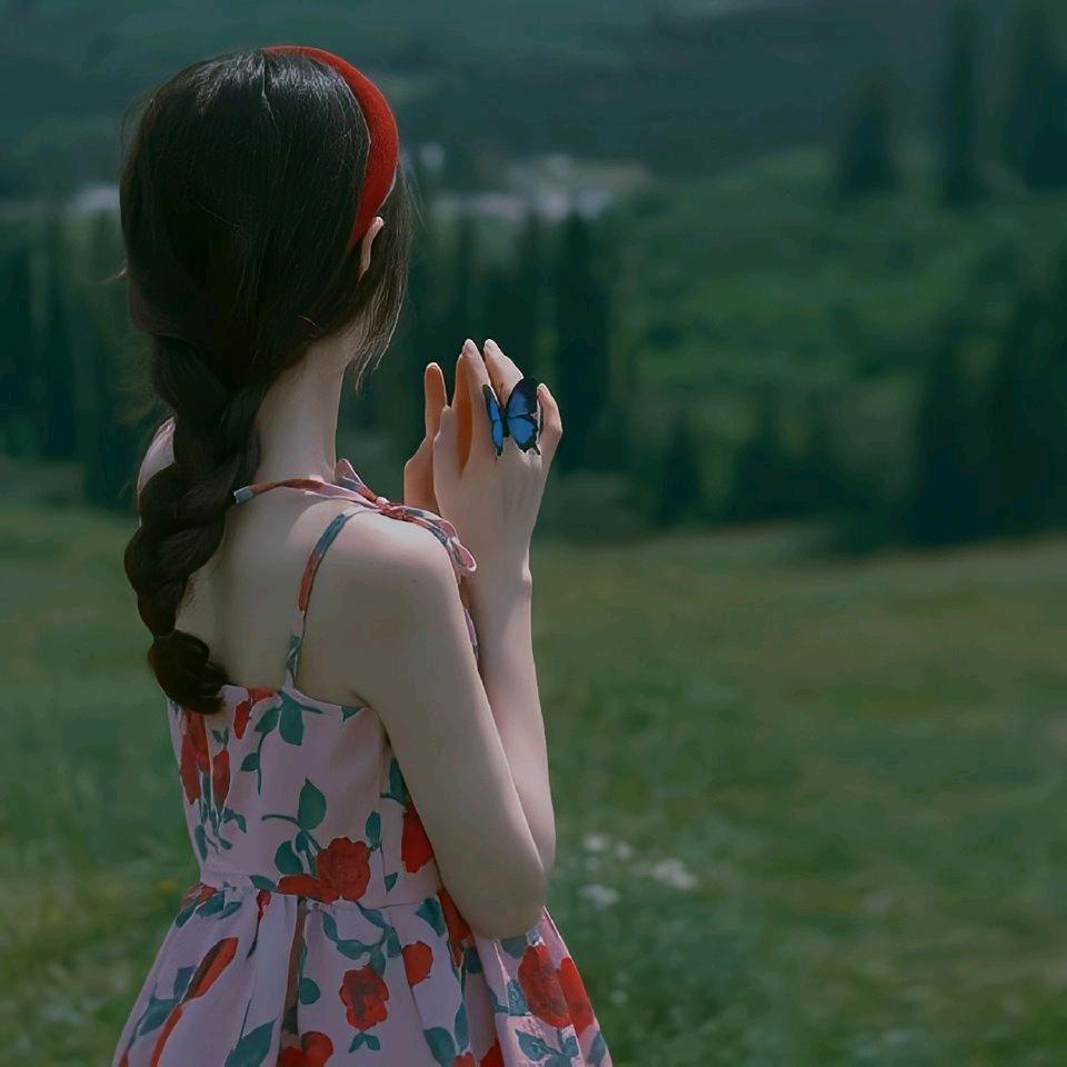 岁岁知