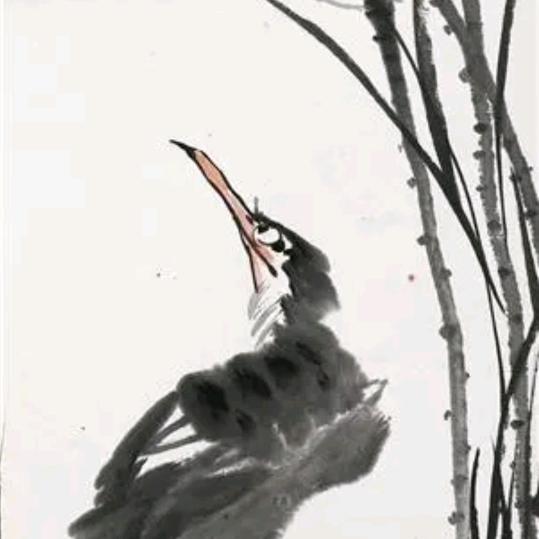 阿阳的石馆