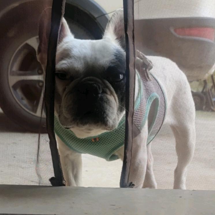 川川川川川川川川川川川川川川川川川川川川