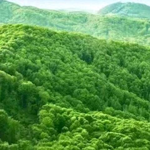 开心每一天
