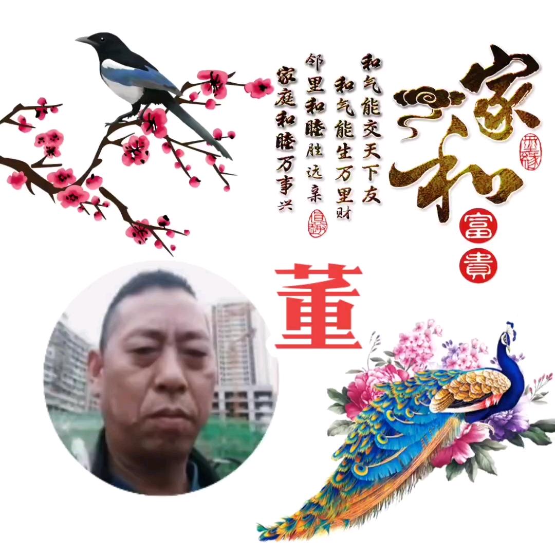 💰᭄似董🕊ꦿ非懂🎋ꦿ᭄᪲