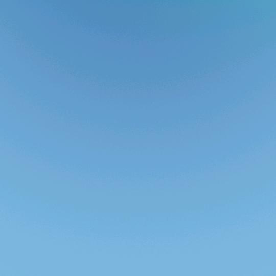 X1926072
