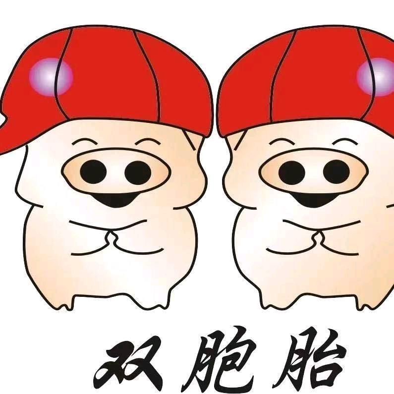 文山双胞胎饲料有限公司