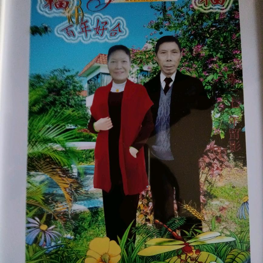 韩老爸