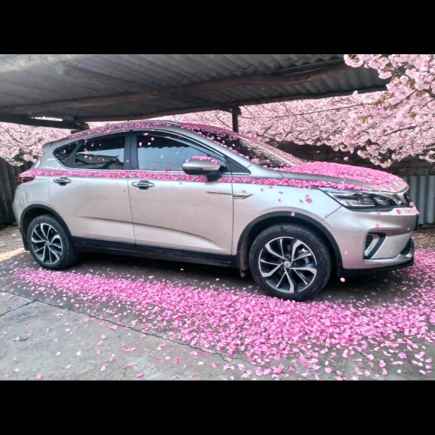 默默望着你的脸