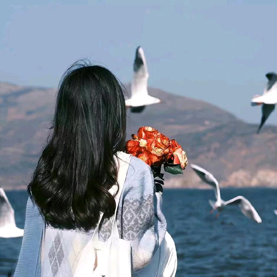 凌晨一点的猫（26点赞版）