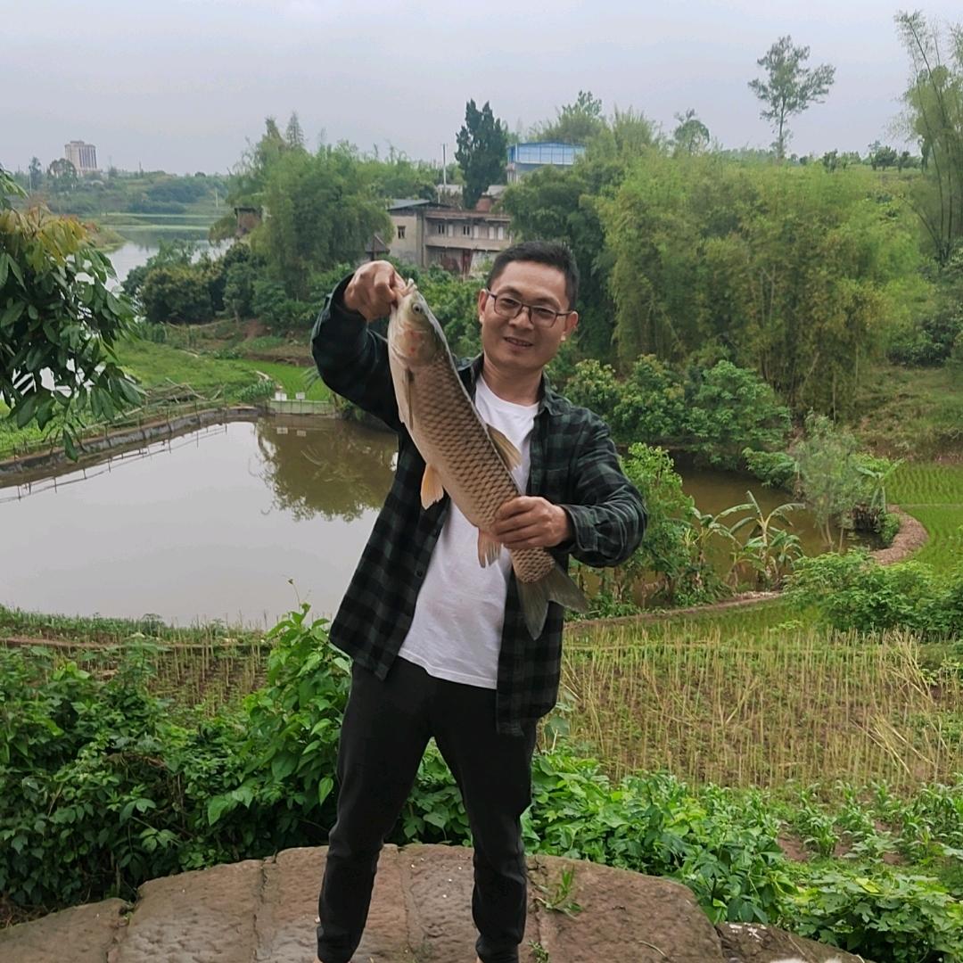 打金甸水库~生态鱼销售