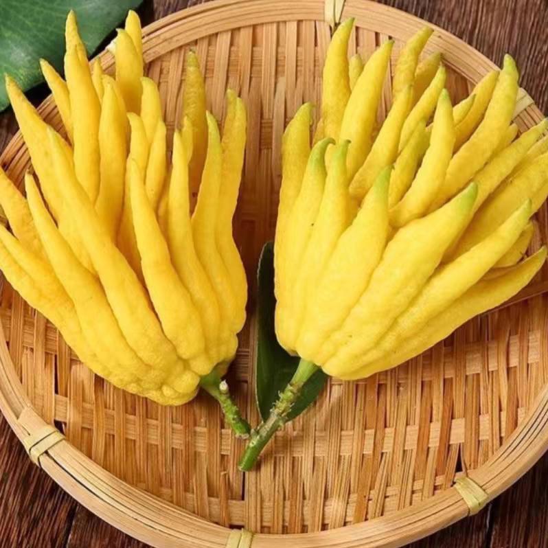 早餐吃什么呢
