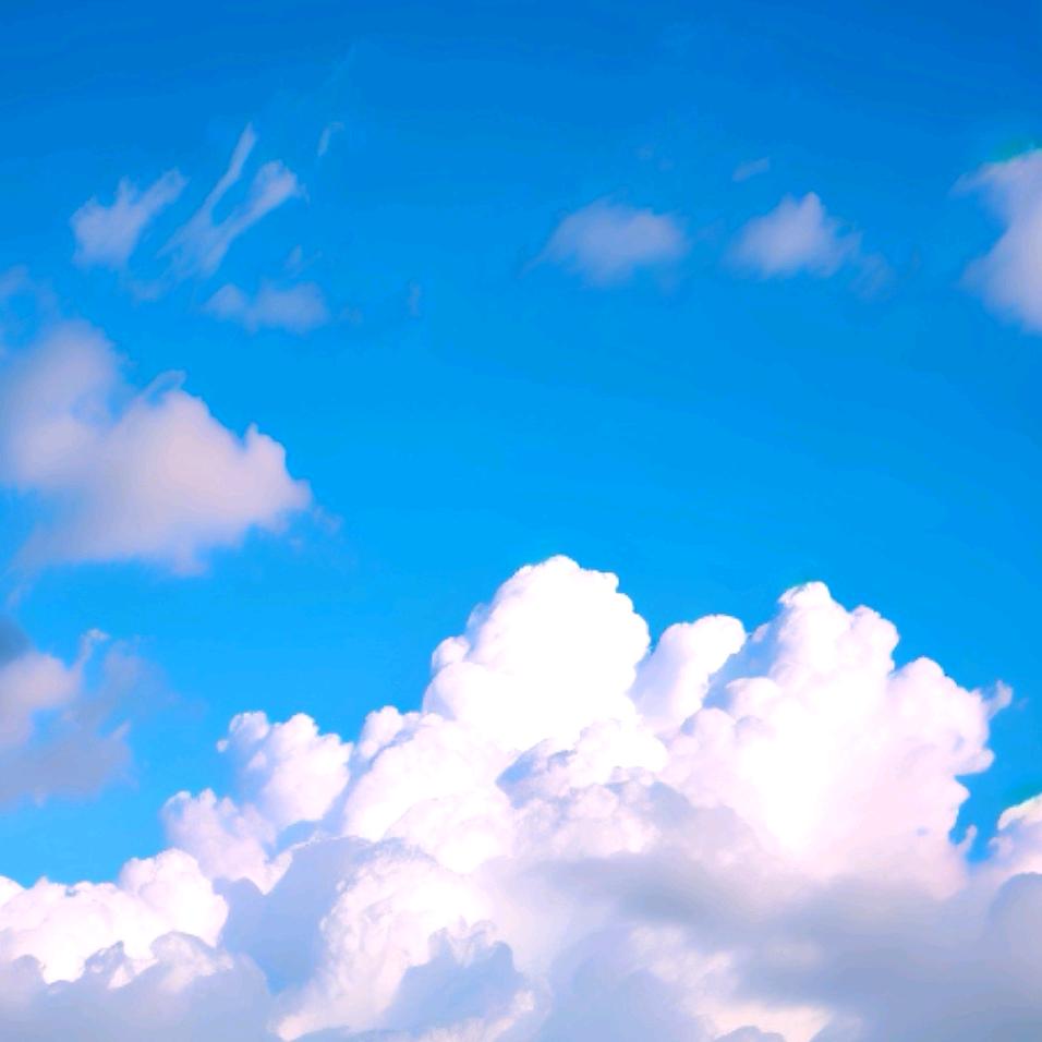 珲