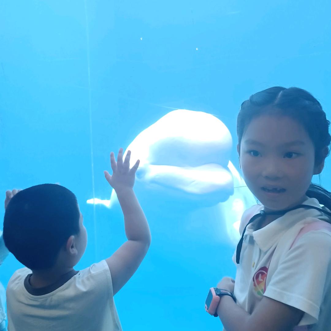 与轨同行