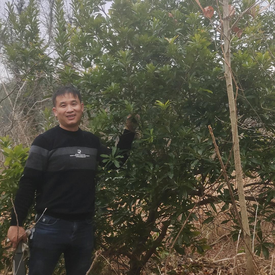 📶@苍天；不负有心人🐒