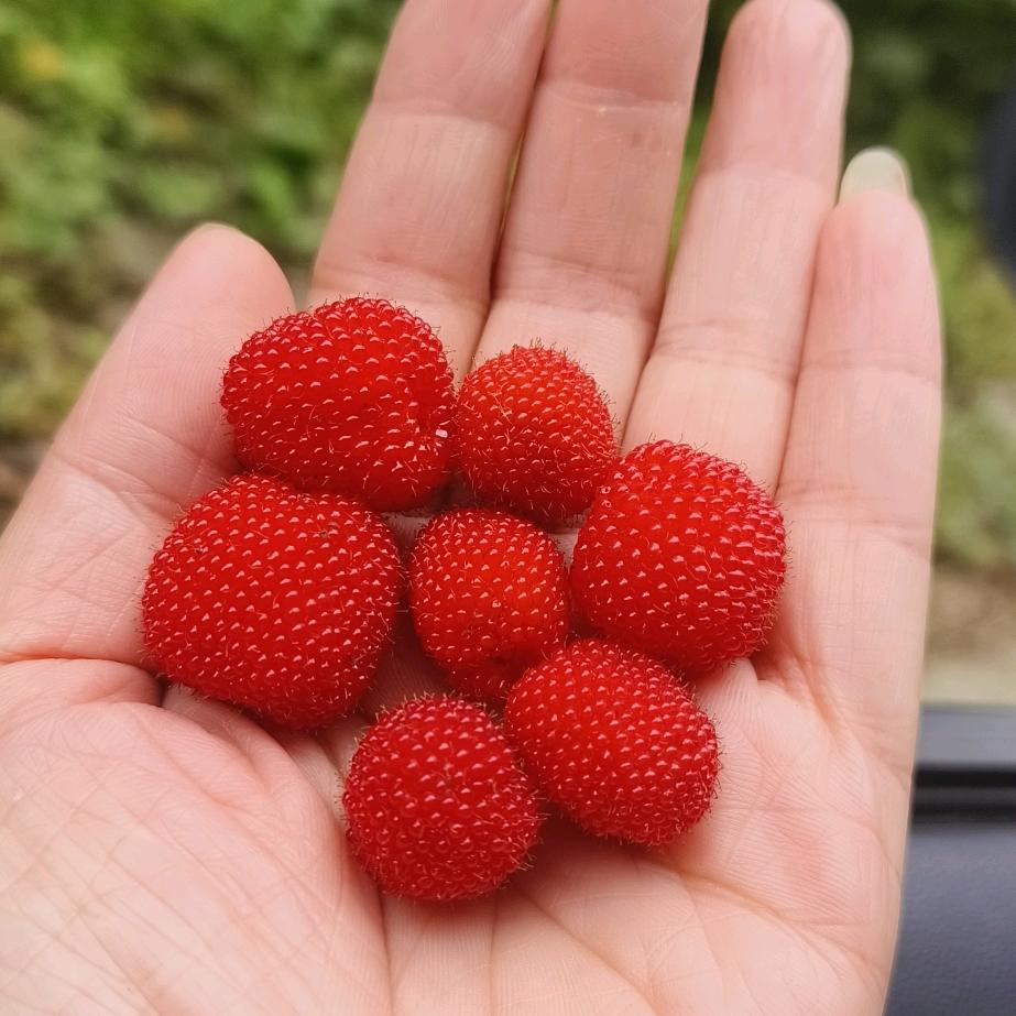 小淹伊姿韵.慧