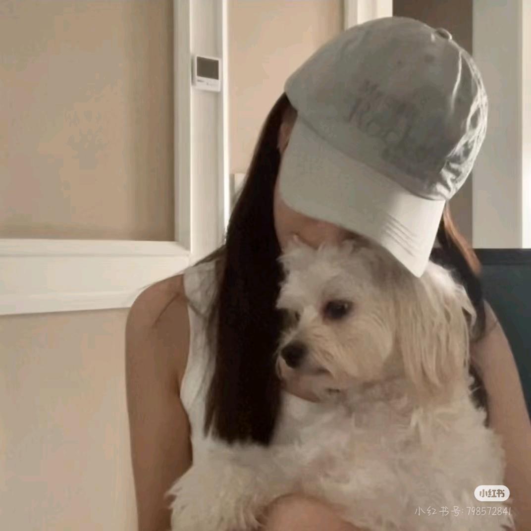 毛绒是你的特质