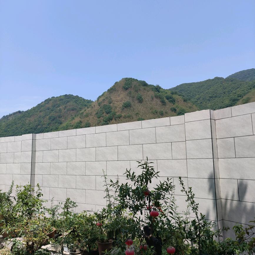 随风随缘随景