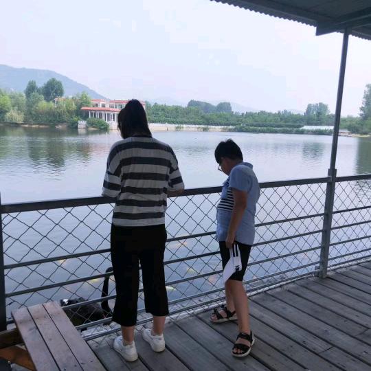 肥城桃都家政