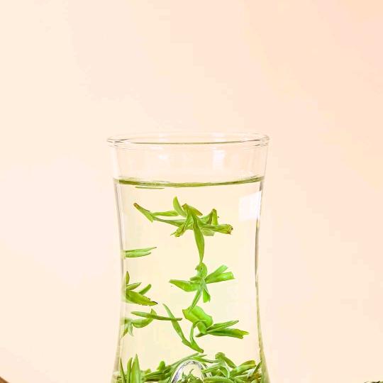 一棵大树