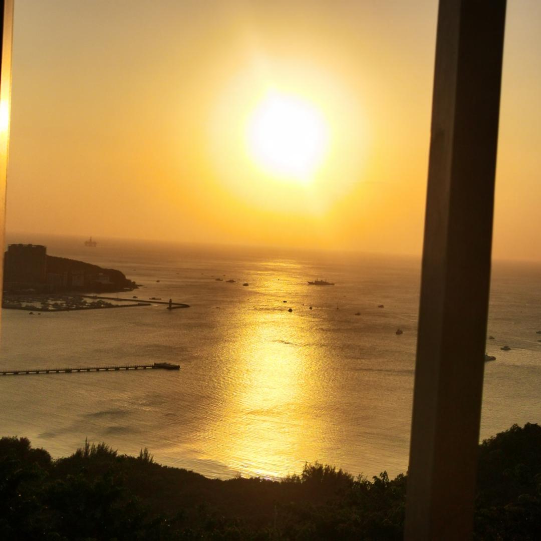 🌈深蓝色石榴树