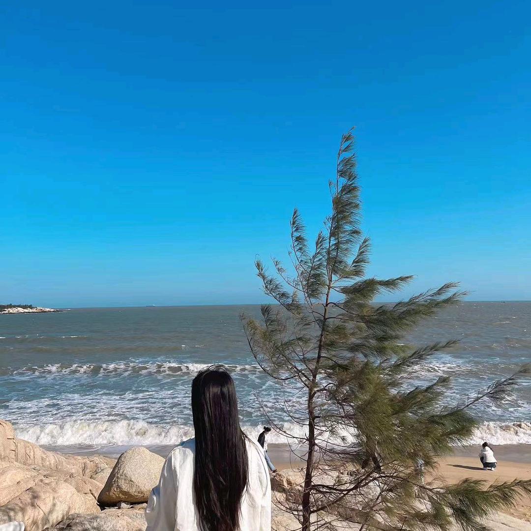 小鲸鱼🐳