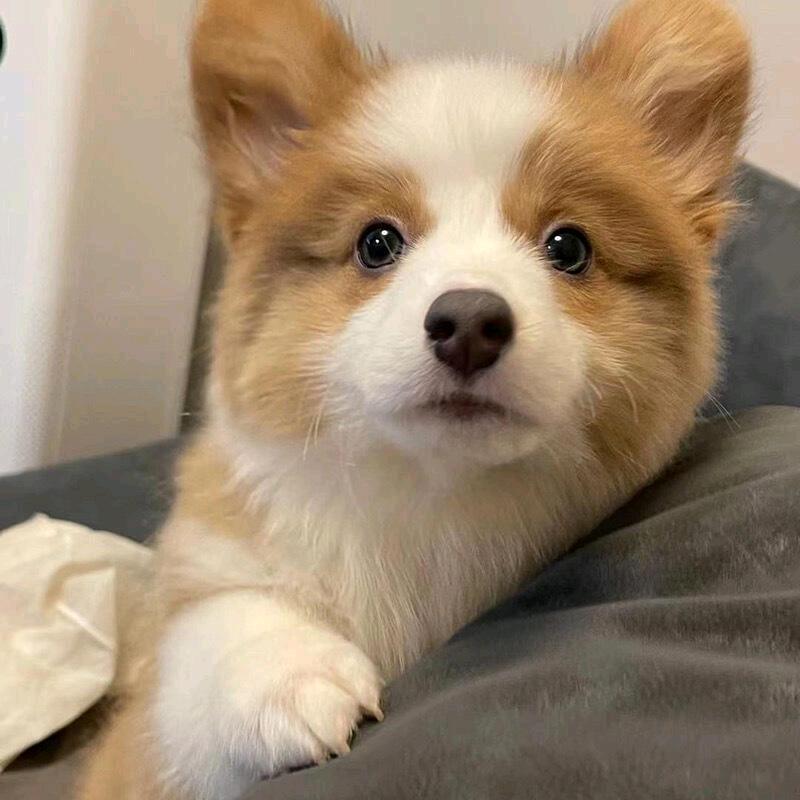 柒柒(๑• . •๑)