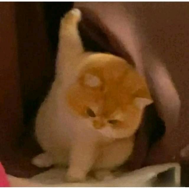 阿水℃