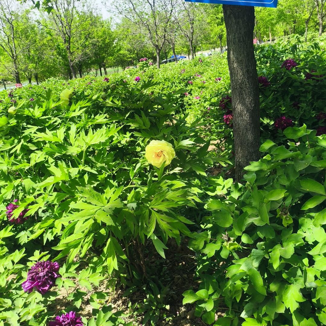 感觉自己么么哒