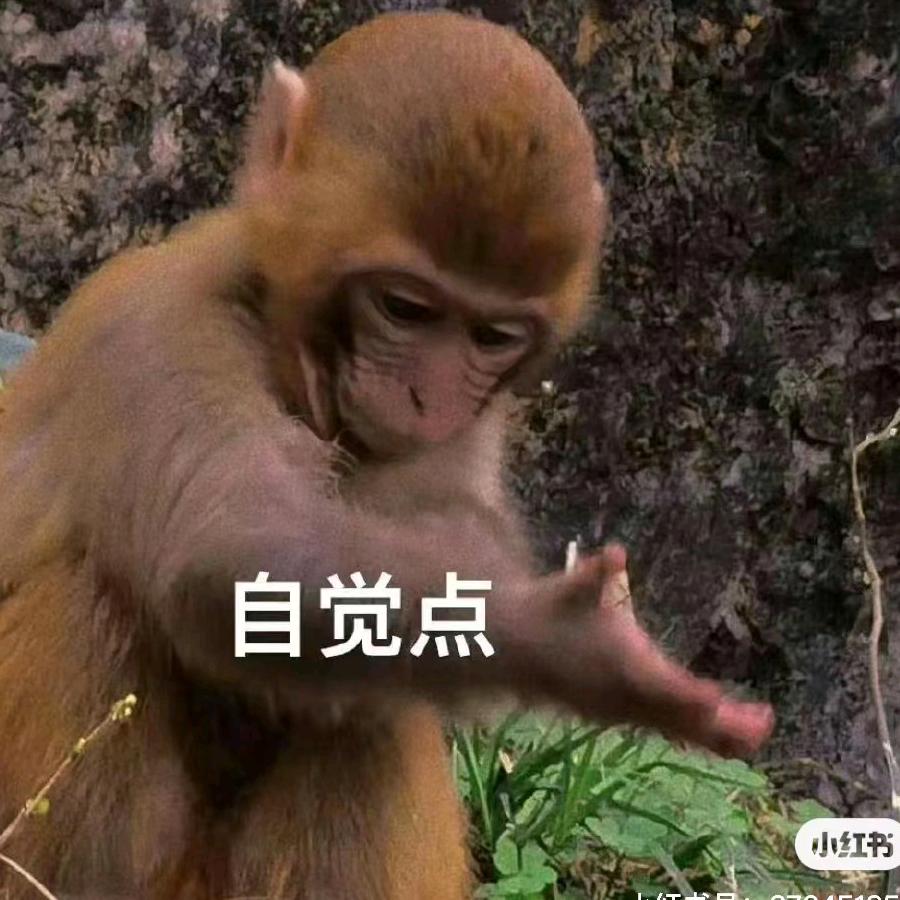 别动我胖虎