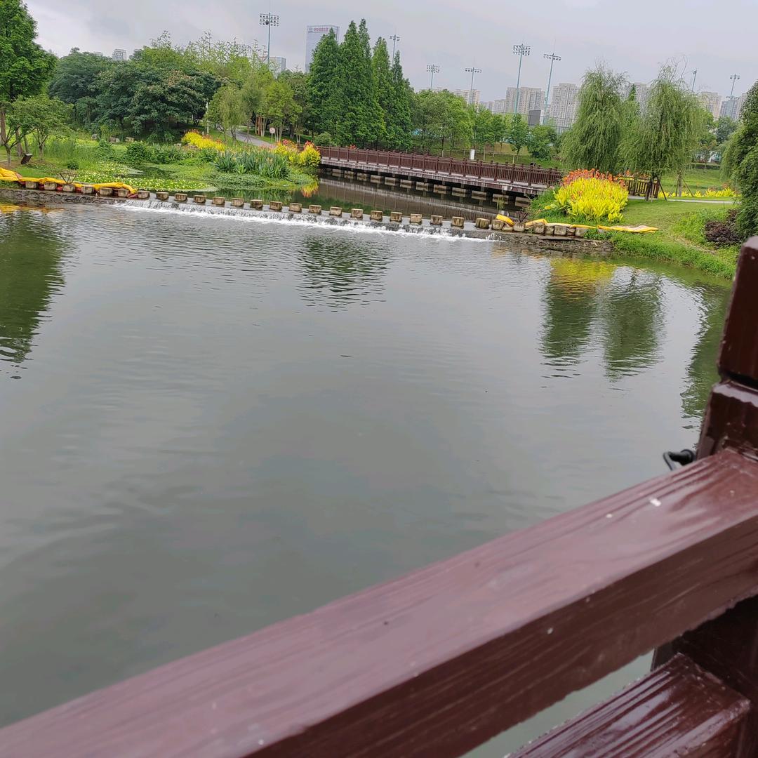 像水一样的漂流
