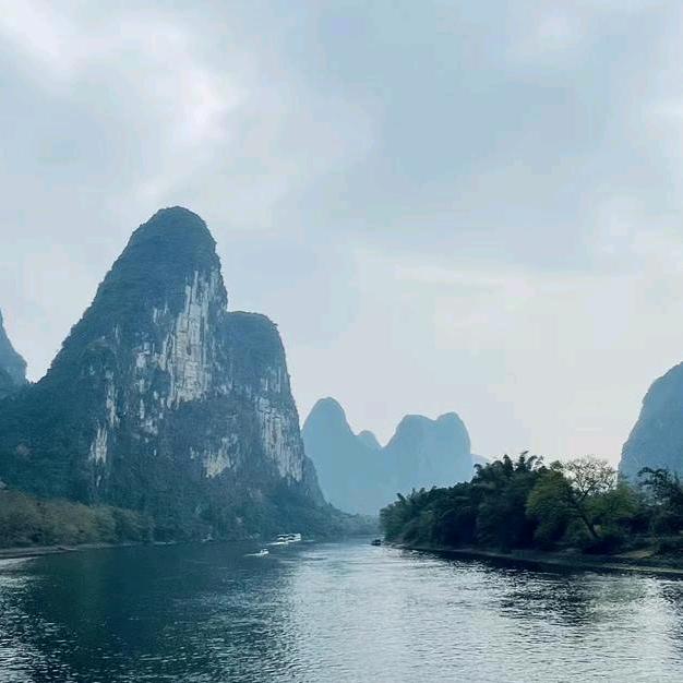 花为君醉
