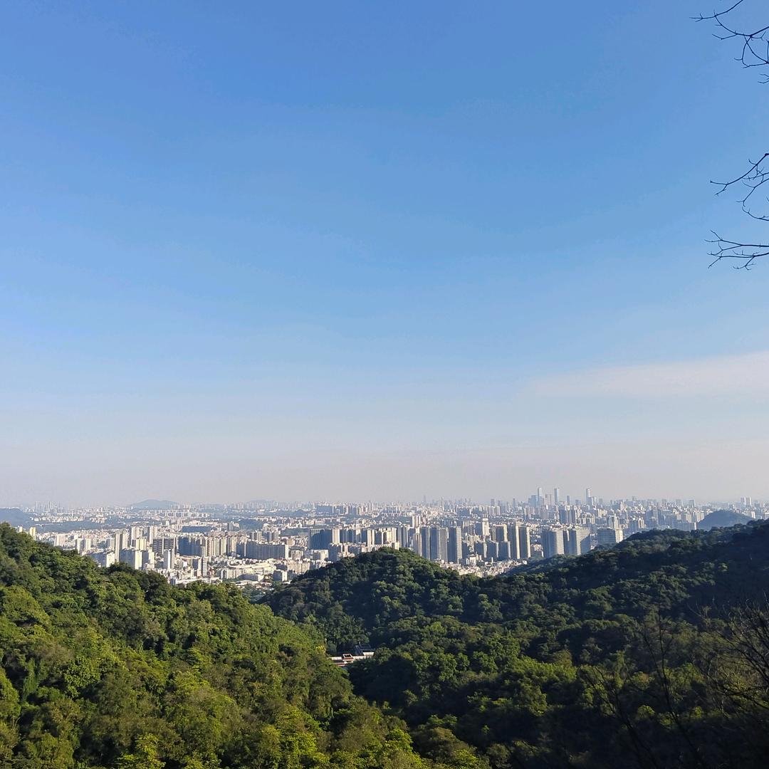 大志向强者文化