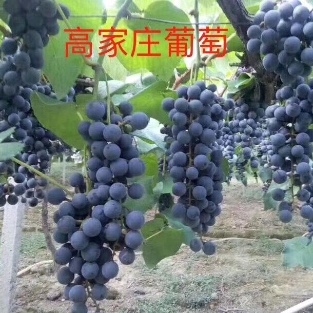 火箭🚀