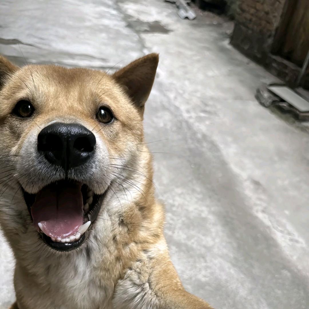 你可真是小天才