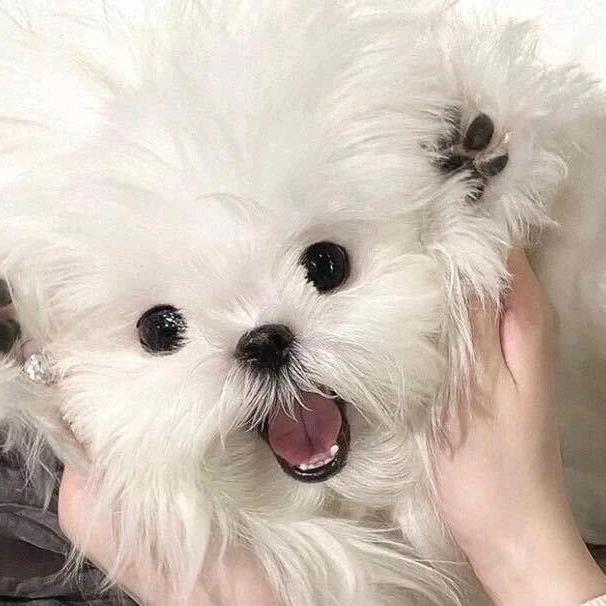 笙笙原创