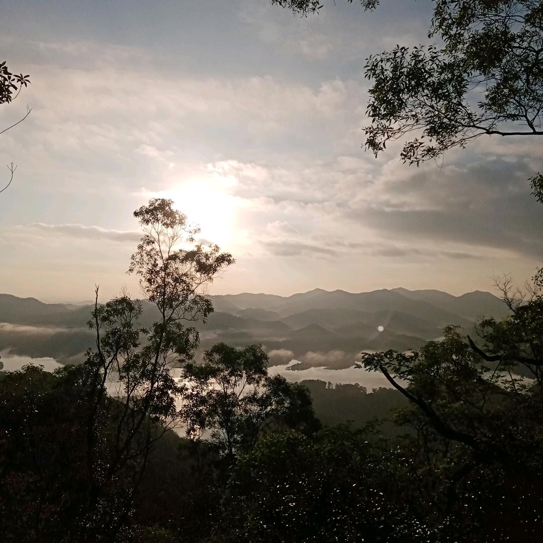 尚游戏