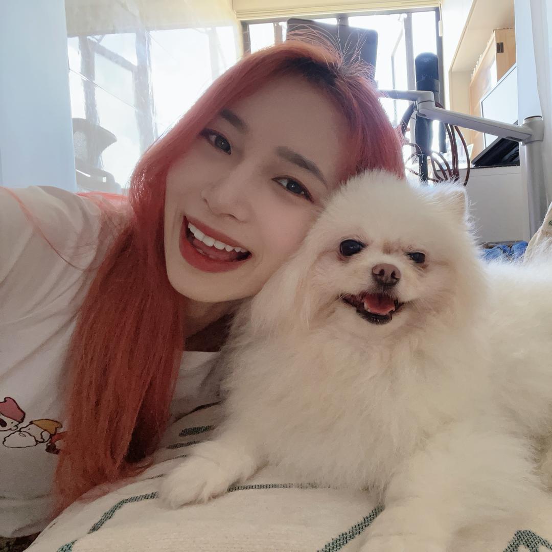 芒果啵啵霸霸🥭