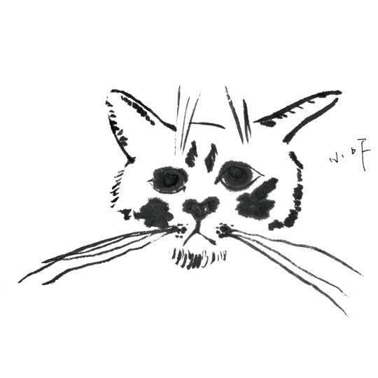 熙熙.～