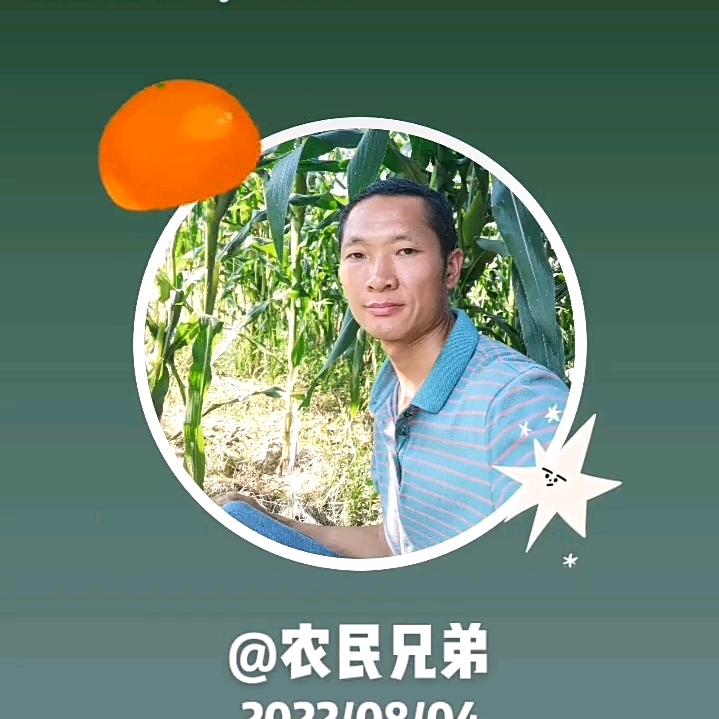 宏顺