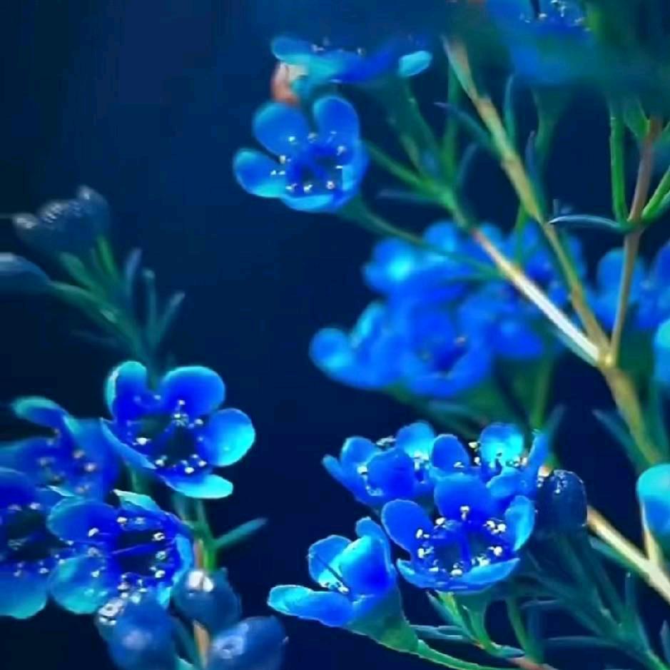 李晓华🦋