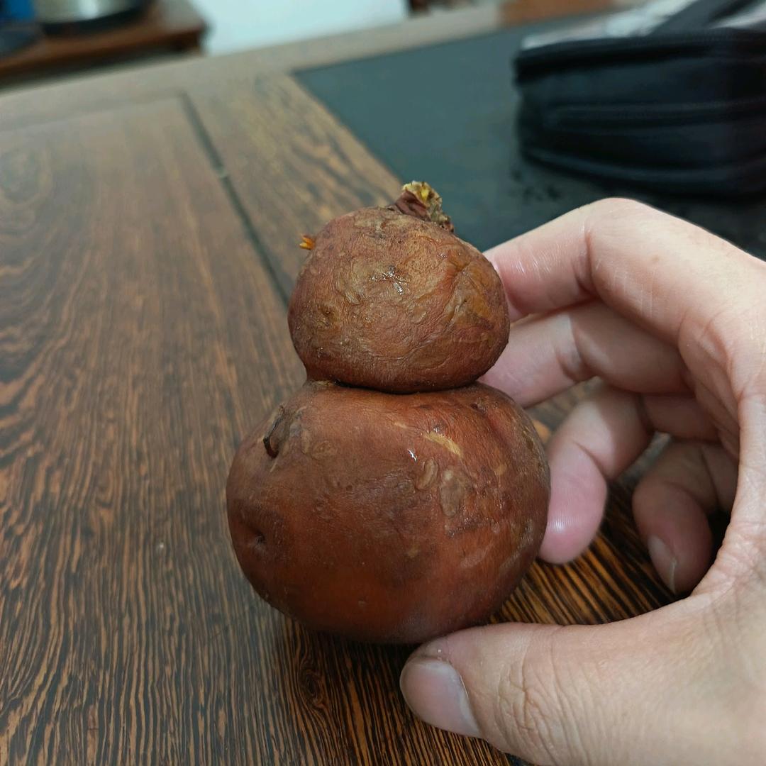 山水间