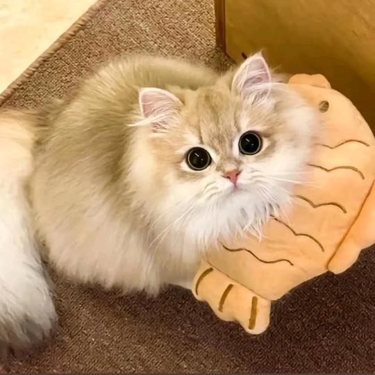 余余余玉