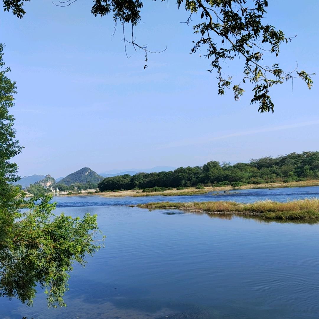 枫叶＇