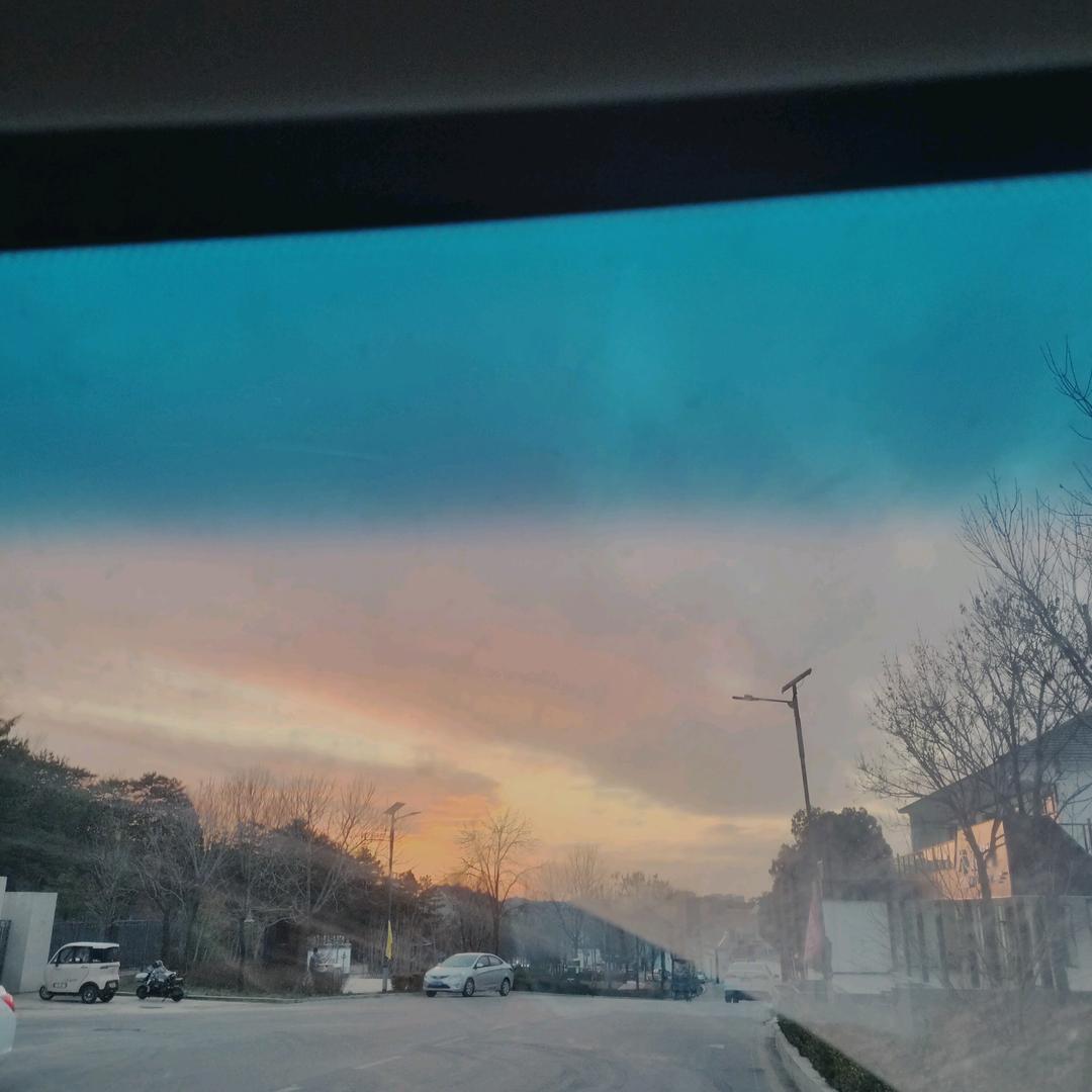 阳光在冬