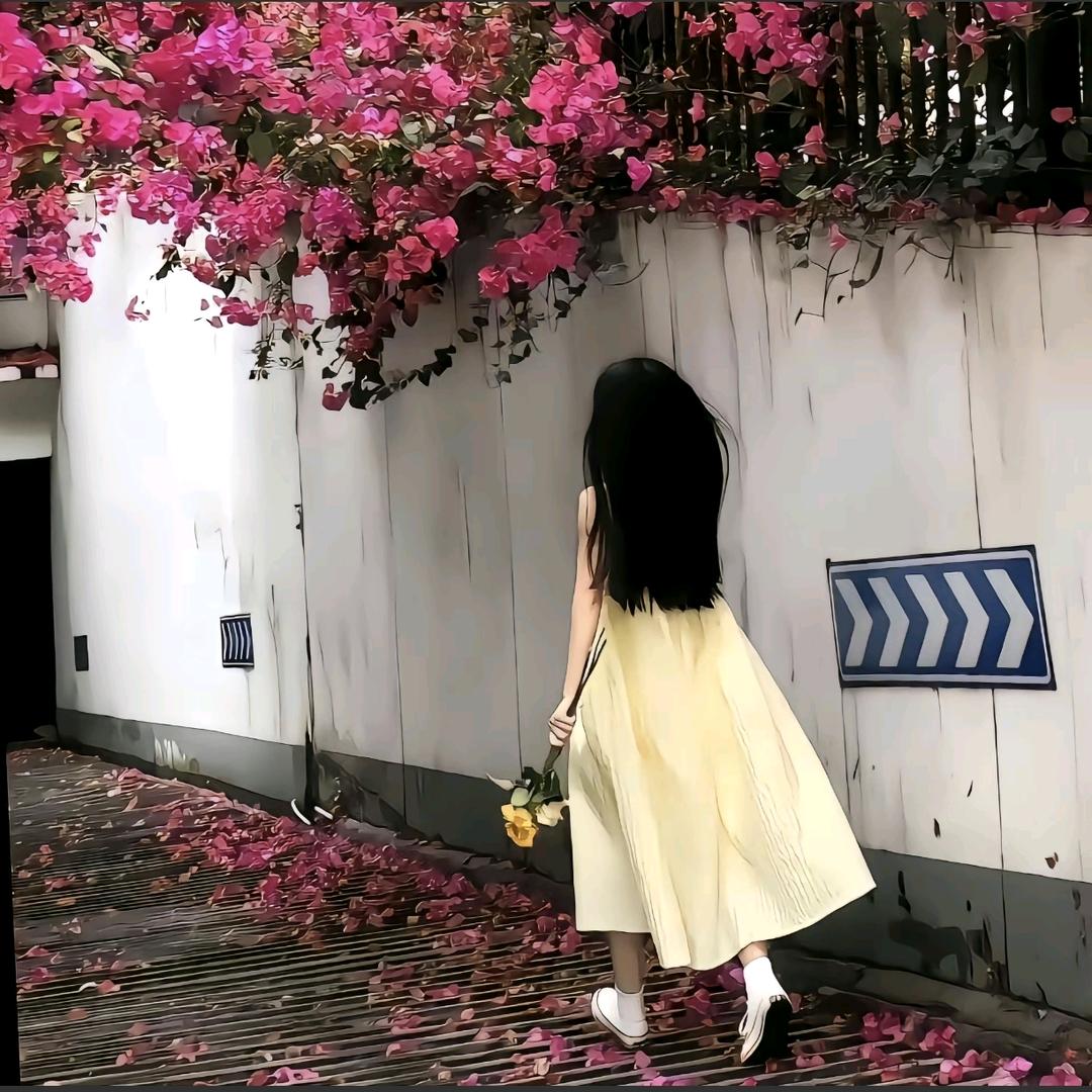 夏沐兮